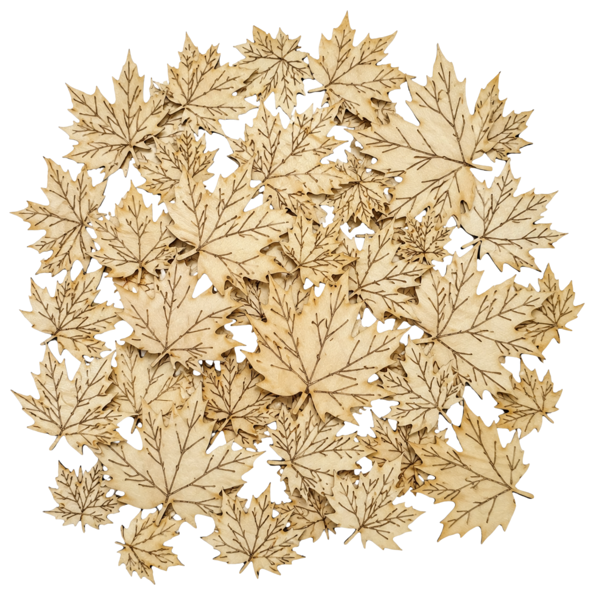 100 Unfinished Fall Leaves Wood Cutouts