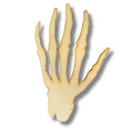 Unfinished Skeleton Hand Wood Cutout